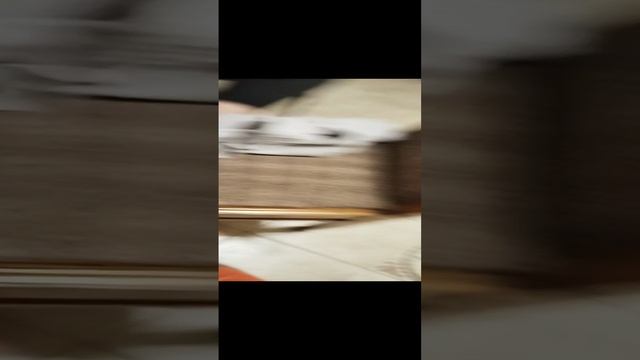 VID_20250117_231904.mp4