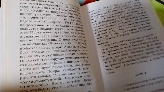 Сладкая соль Босфора, ч.3