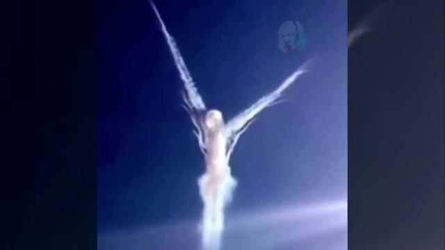 1000003206.mp4