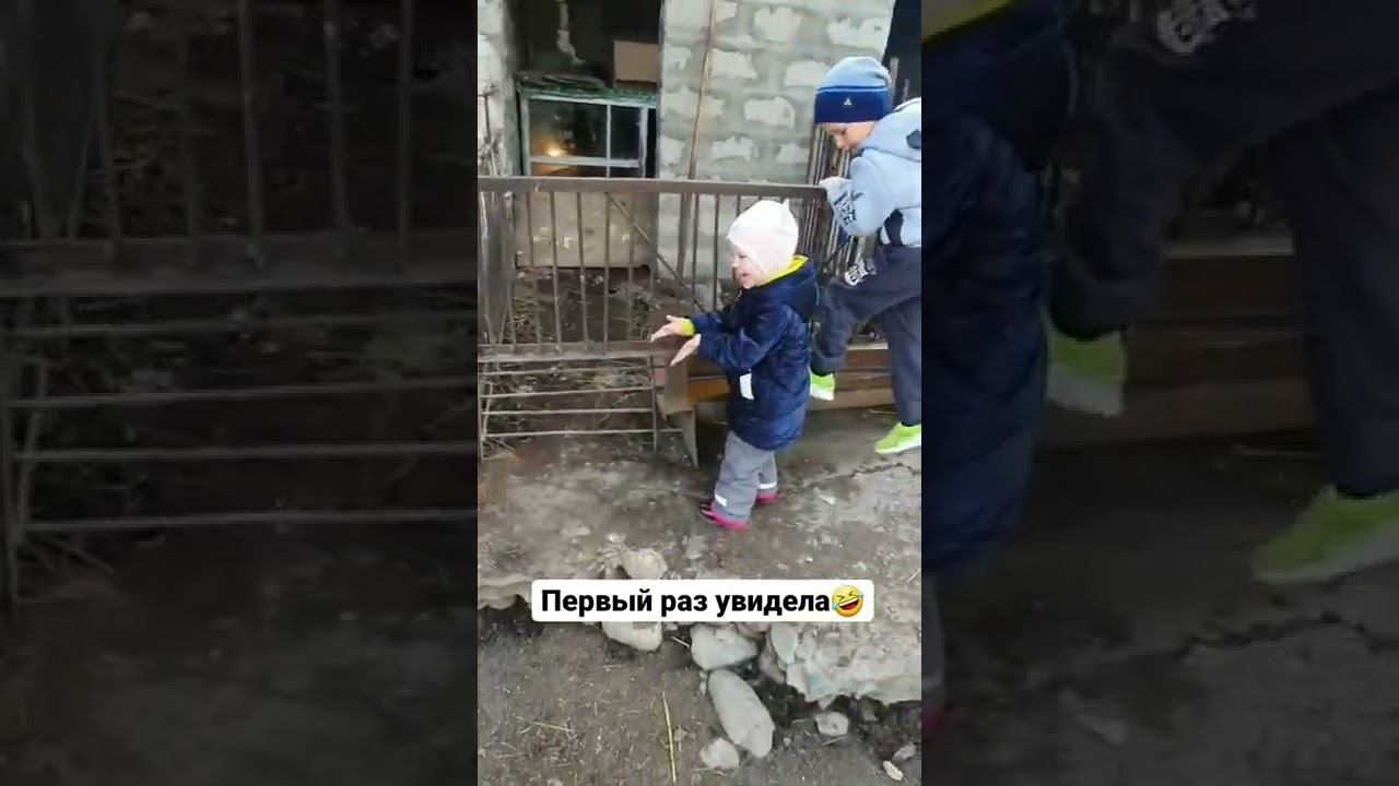 первый раз #юмор #увидела