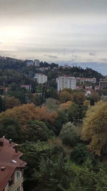 зимнее утро