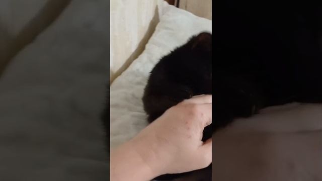 1000384173.mp4