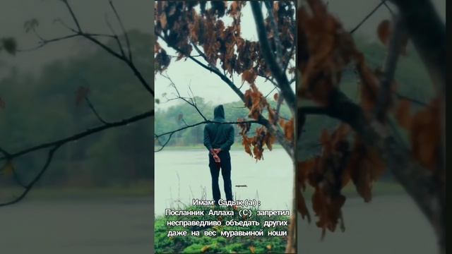 InShot_20250117_194458114.mp4