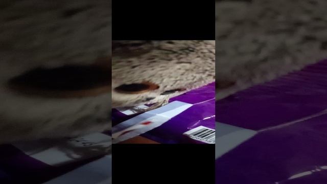 🥀🍷 мимелади 🥀🍷 мои сквиши 🍷🥀