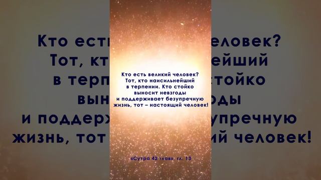 Жемчужины Востока 11 МАЯ Е.П. Блаватская. #shorts