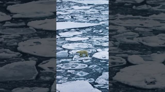 Глобальное потепление в Арктике