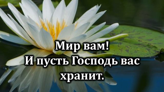 133. Мир вам.