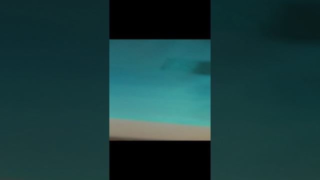 1000024057.mp4