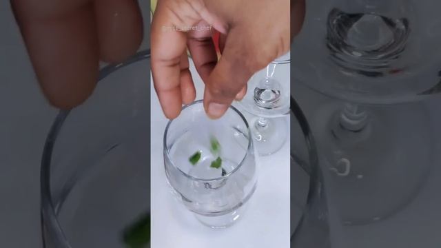 Watermelon Slush | Summer Refreshing Drink | Miss Secret Chef #recipe  #ytshorts #watermelon