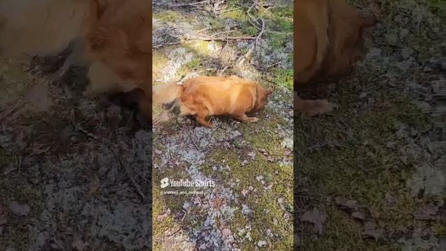 вспомним лето🌞