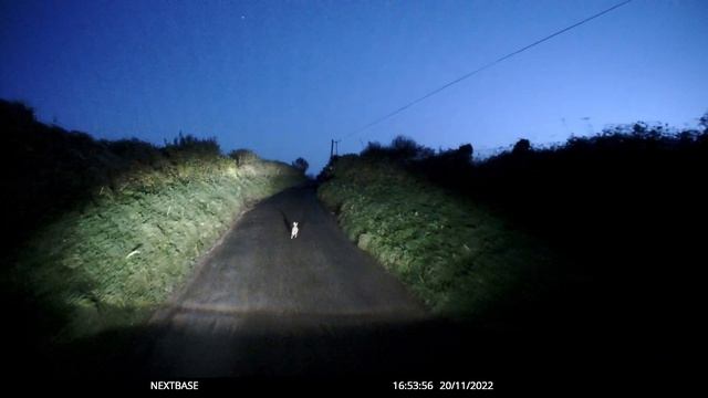 Follow the leader in the Van