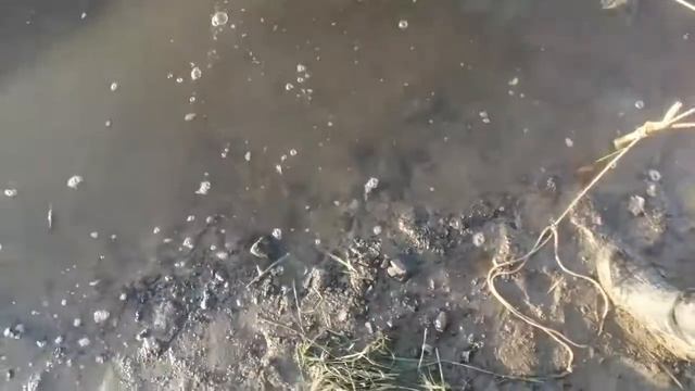 река тура