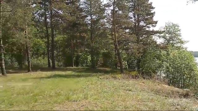 участок на берегу Горьковского Моря  лесной