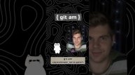 git am на котах #git #it #программирование