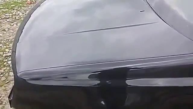 Пять литров