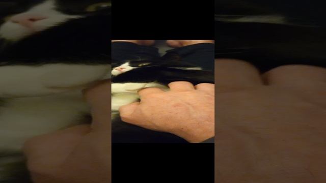 VID_20250116_180204.mp4