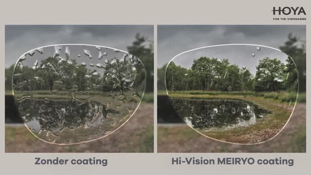 HOYA Hi-Vision Meiryo Compare