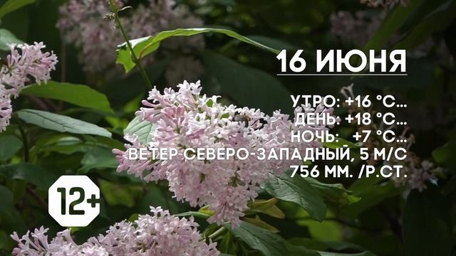 Погода на 16 июня