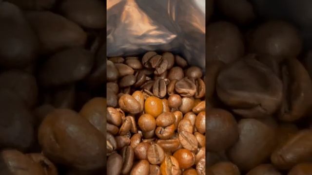 Unboxing Mister Coffee Arabica Coffee Beans