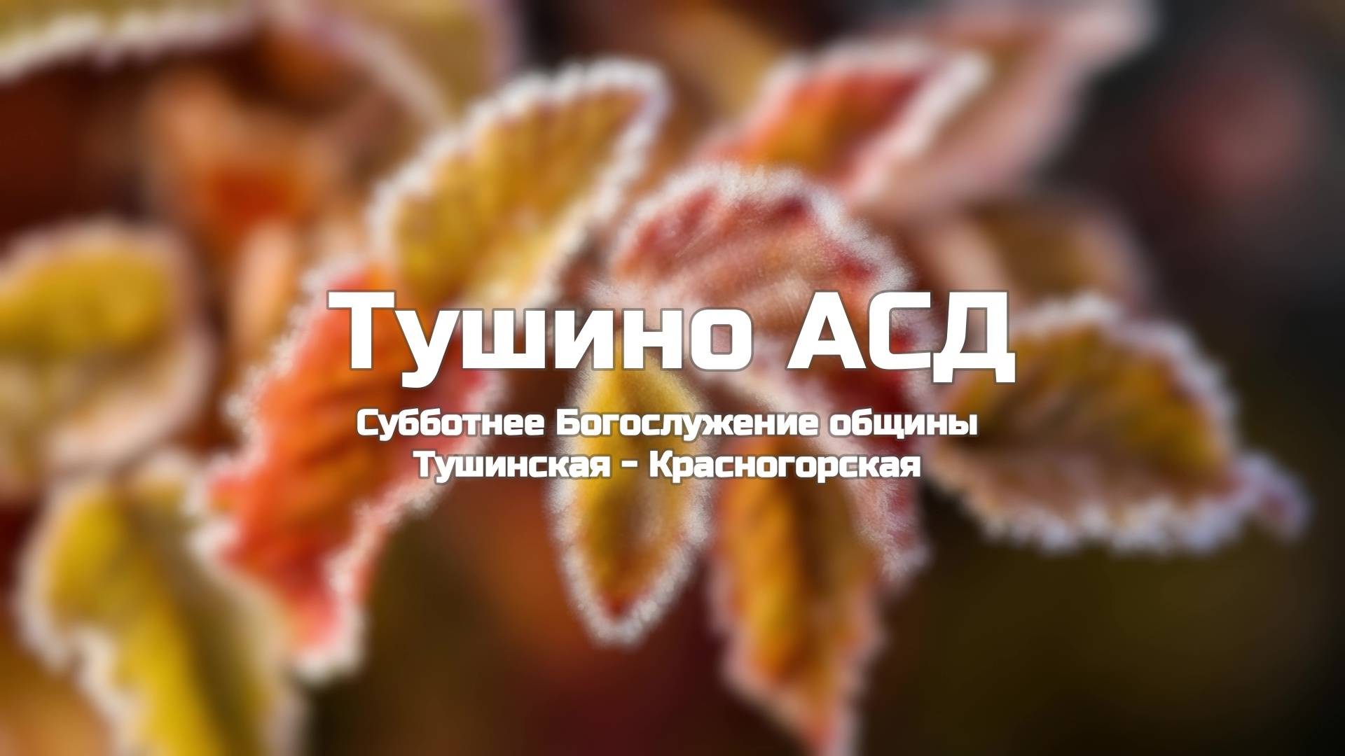 Субботнее Богослужение общины Тушинская АСД 02.11.2024
