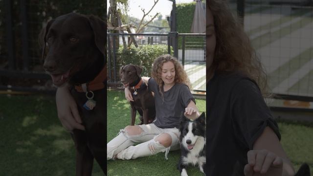 7197662-uhd_2160_3840_25fps