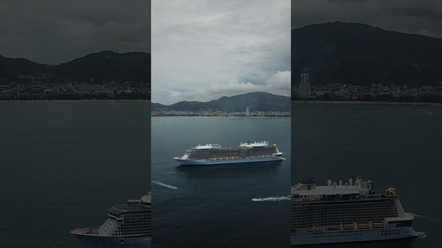 14177112-uhd_2160_3840_30fps