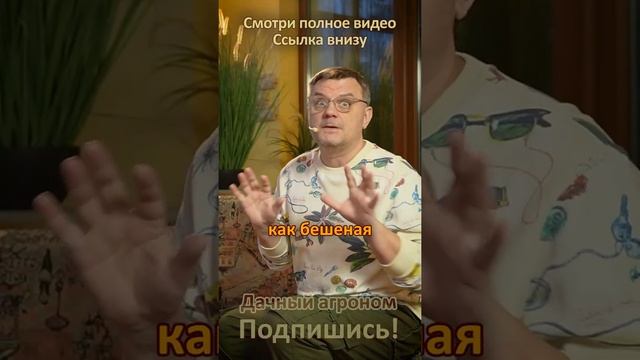 Правильные секреты хорошей рассады