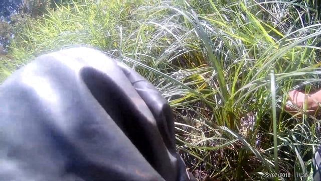 На любимой речке