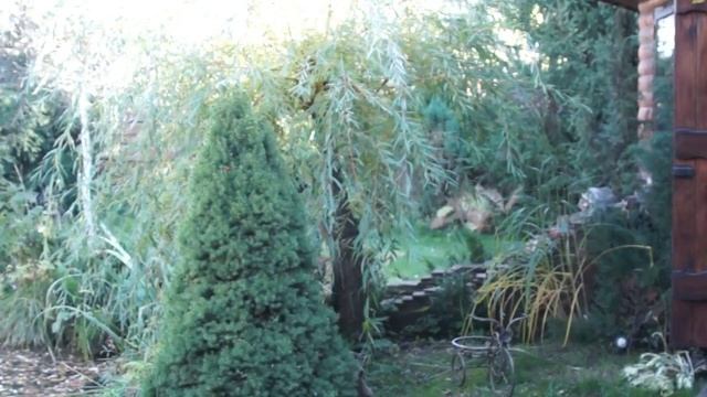 ВОЖДЬ ЧЕРВОНОШКІРИХ ТЕАТРАЛЬНА СТУДІЯ ДЕБЮТ