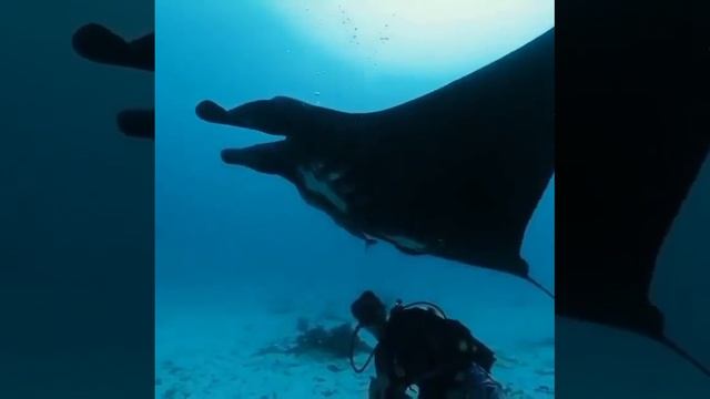 video_2024-07-15_17-56-01