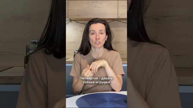 Что ветеринар никогда не будет делать с собакой