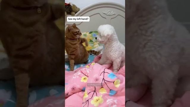 1000071619.mp4