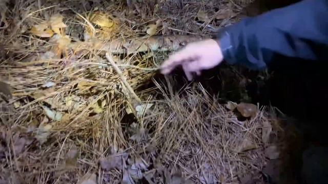 ОТСЛЕЖИВАНИЕ ЧЕЛОВЕКА ДЛЯ ПОИСКОВО-СПАСАТЕЛЬНЫХ РАБОТ