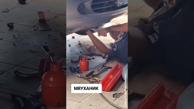 Пятница!
Мне бы такого помощника )))