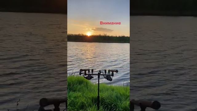Внимание‼️ #пятница #рыболовная #рыбак #рыбалка #фидер #карпфишинг #спиннинг #снасти #прикол #юмор