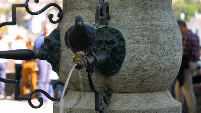 5608243-uhd_3840_2160_24fps