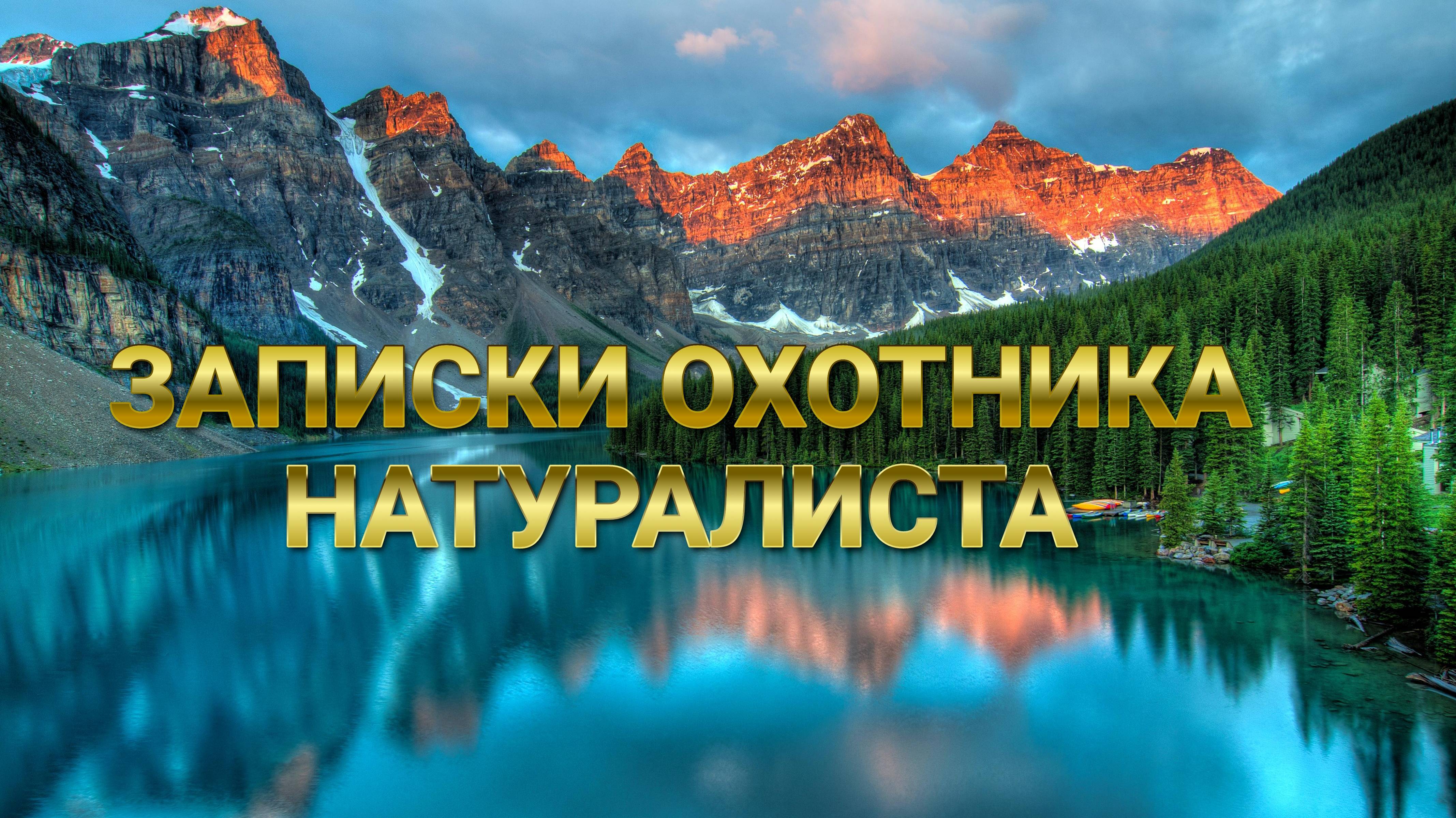 ЗАПИСКИ ОХОТНИКА НАТУРАЛИСТА