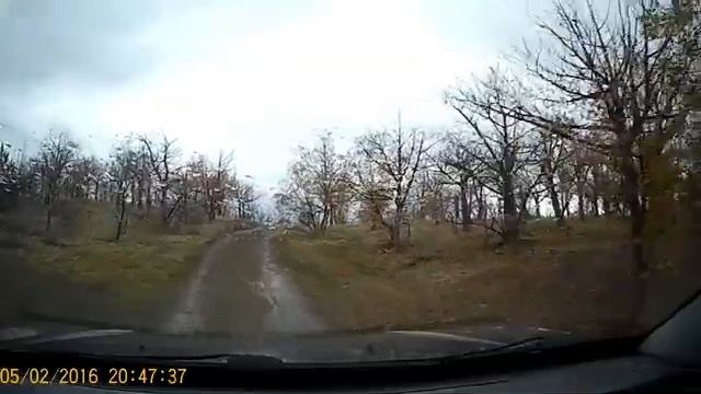 4 декабря 2023 г.