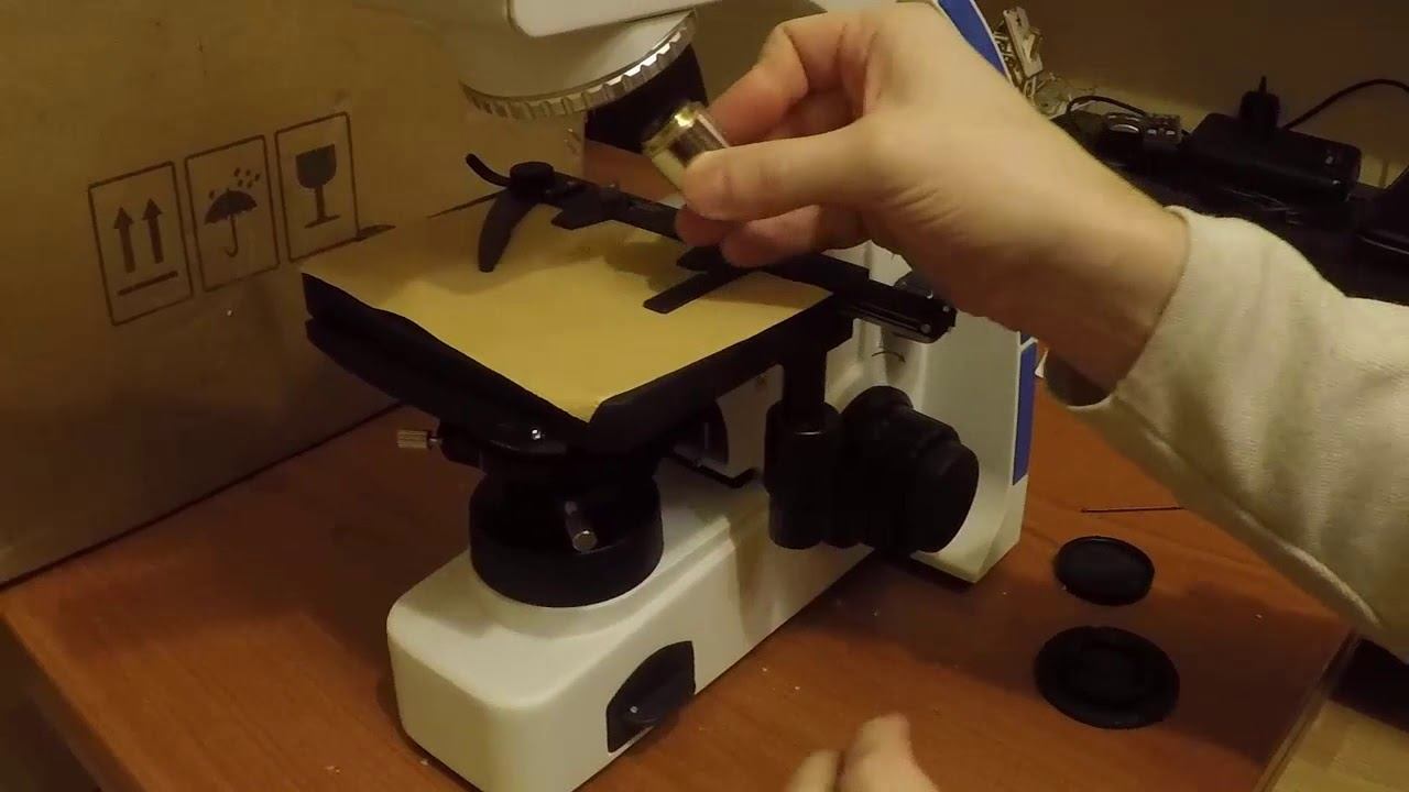 Assembling biological microscope for sperm analysis, Kohler illumination, phase contrast set up