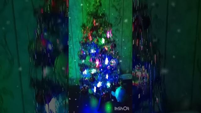 Феодосия 30.12.24 🎄⭐☃️😍