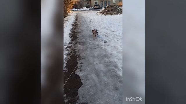 Ах, какая пятница!