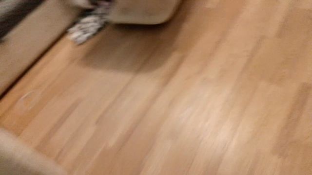 1000000698.mp4