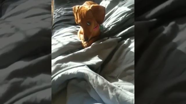 1000071652.mp4