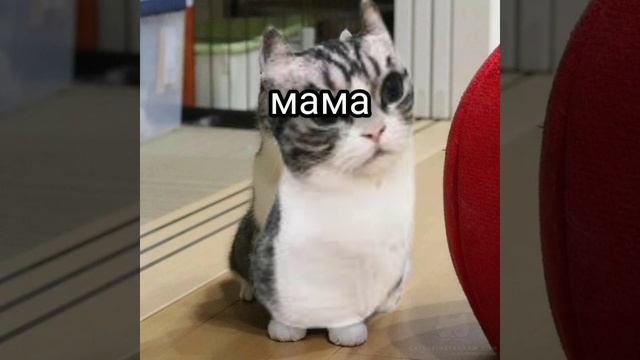хз чо писать