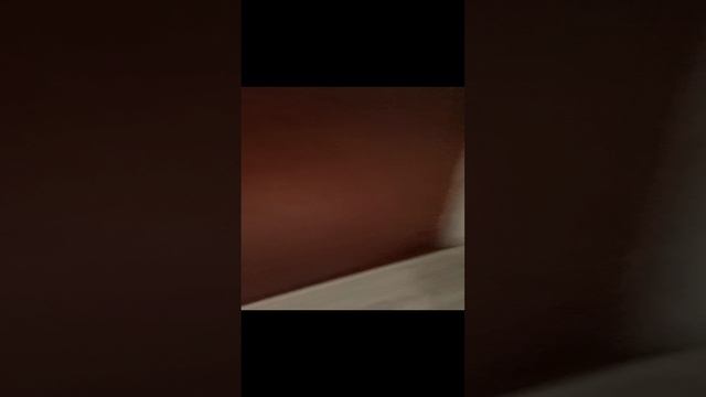 17-01-2025