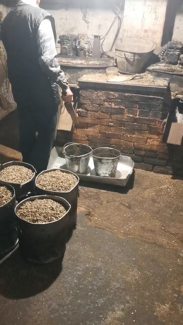 VID_20241122_102229.mp4