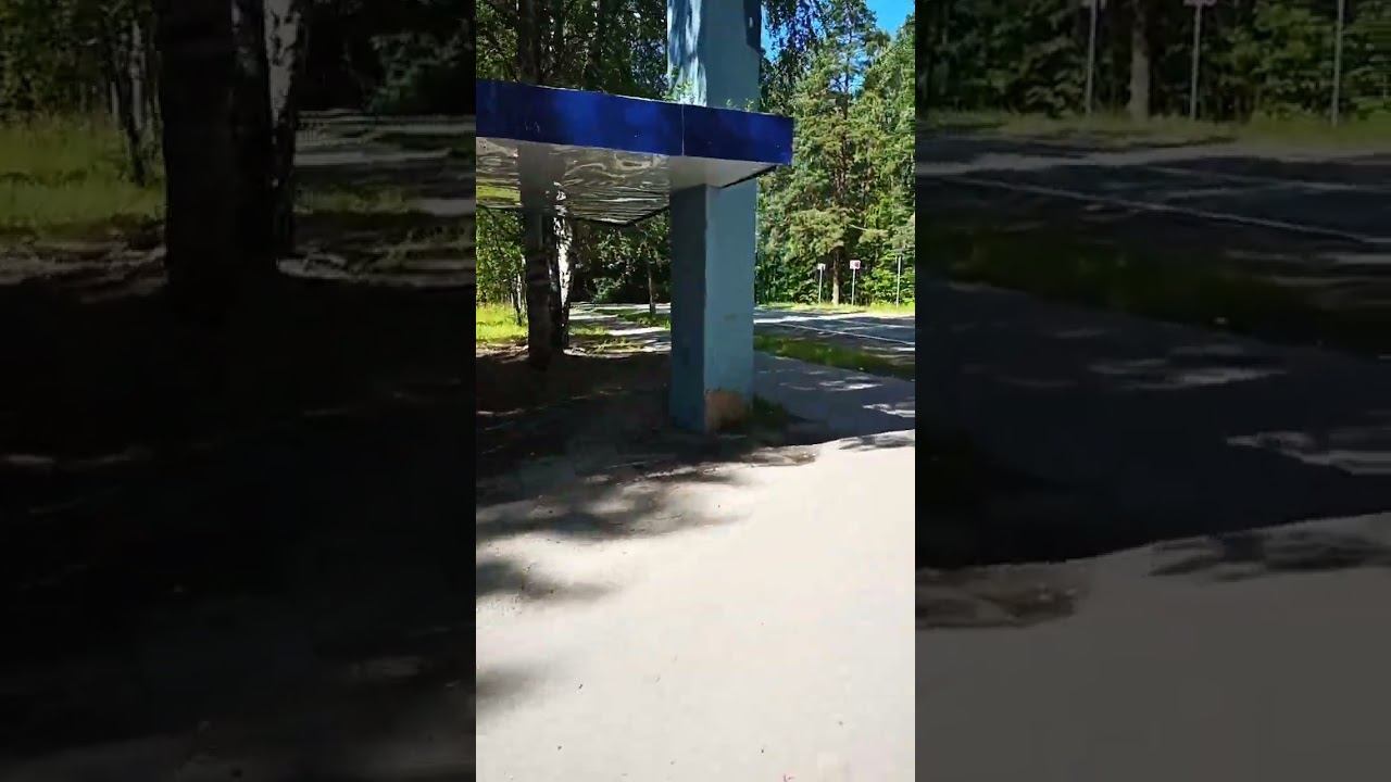 22 июля 2024 г.