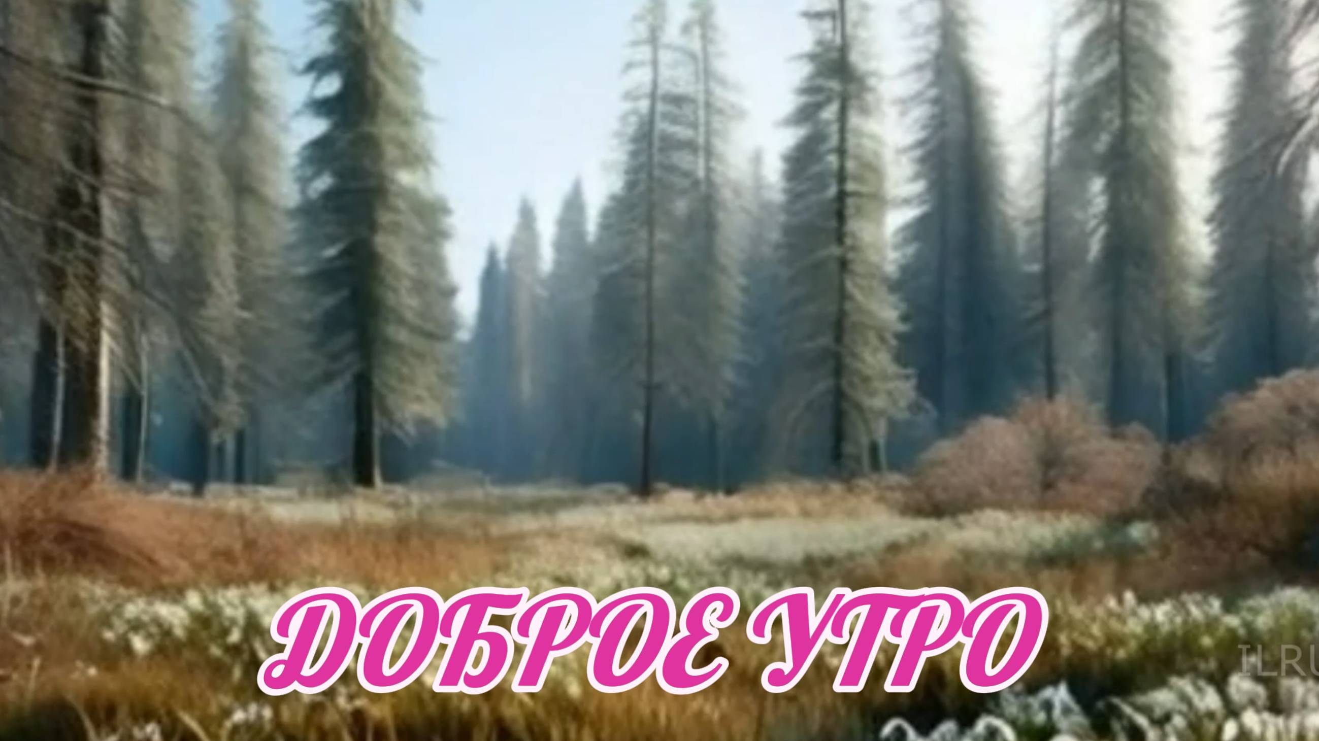 Доброе утро - Я дня хорошего желаю! Утренний Позитив для Друзей