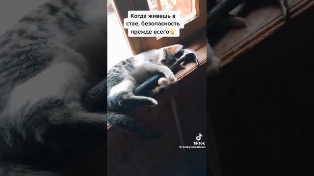 Лучше перебдеть, чем не добдеть.