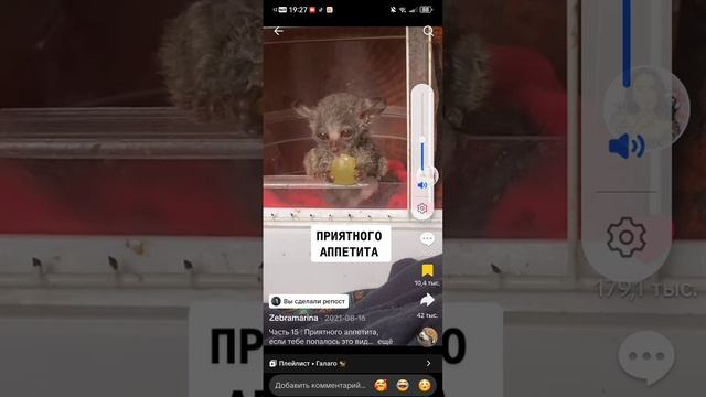 SVID_20250114_192718_1.mp4